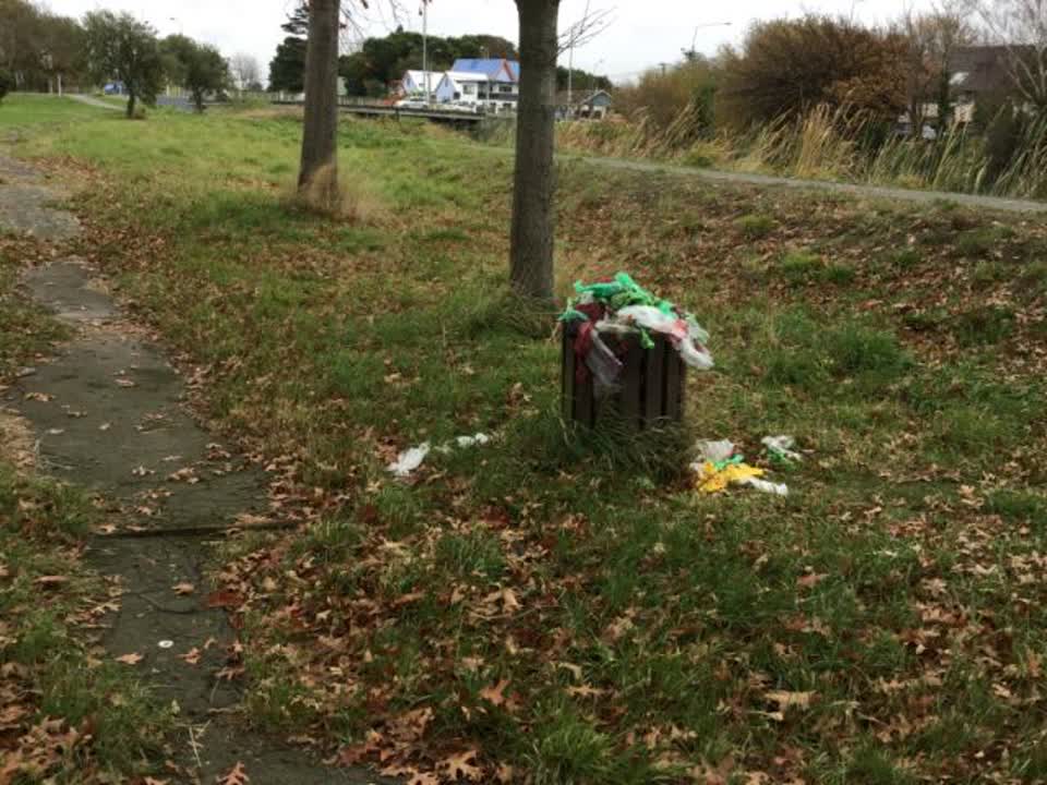The photograph attached to this rubbish/recycling report