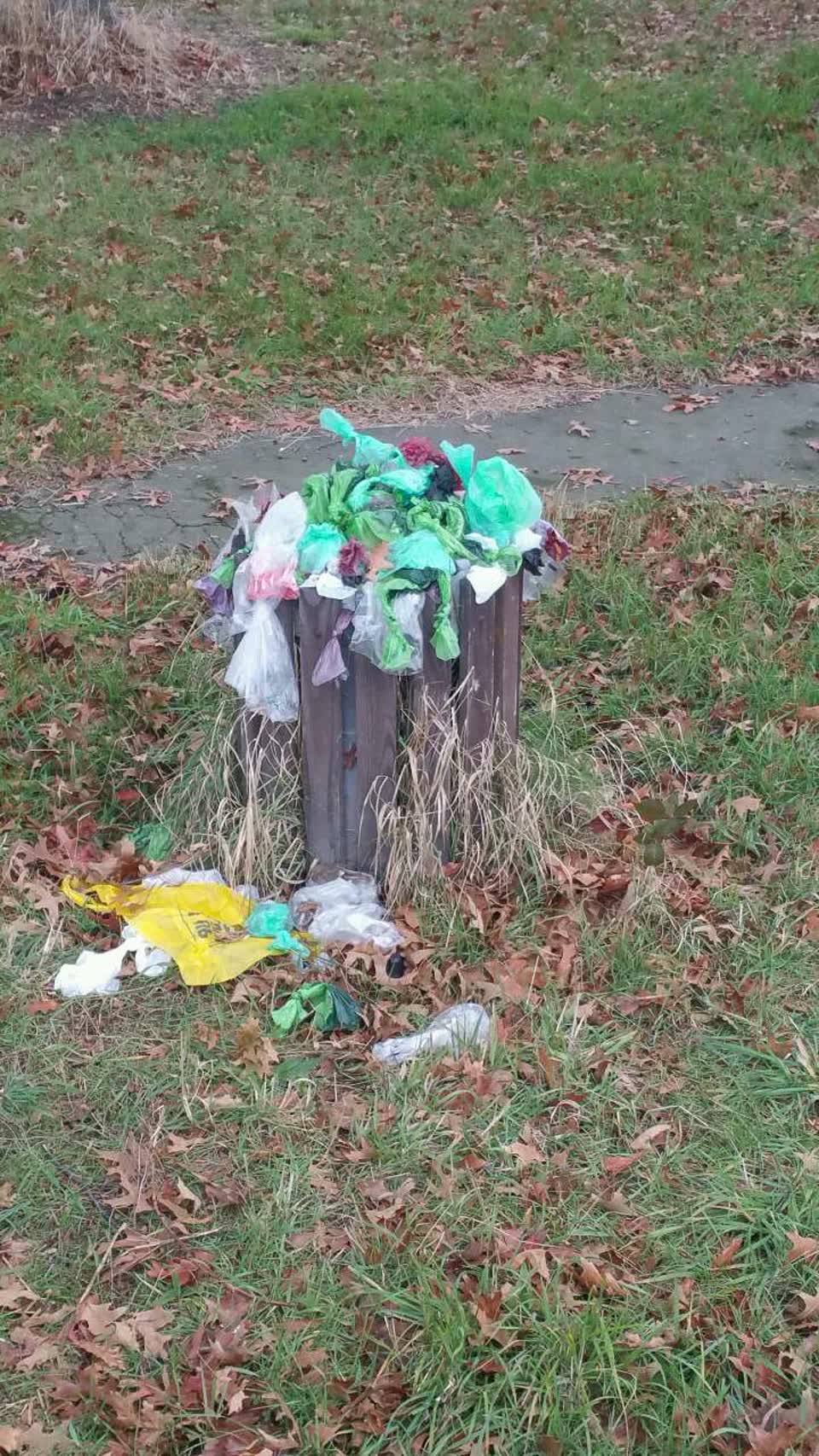 The photograph attached to this rubbish/recycling report