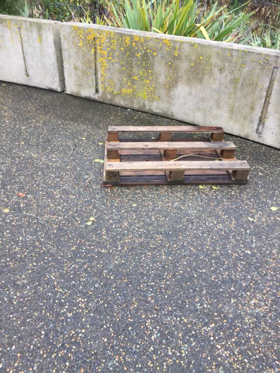 The photograph attached to this parks report