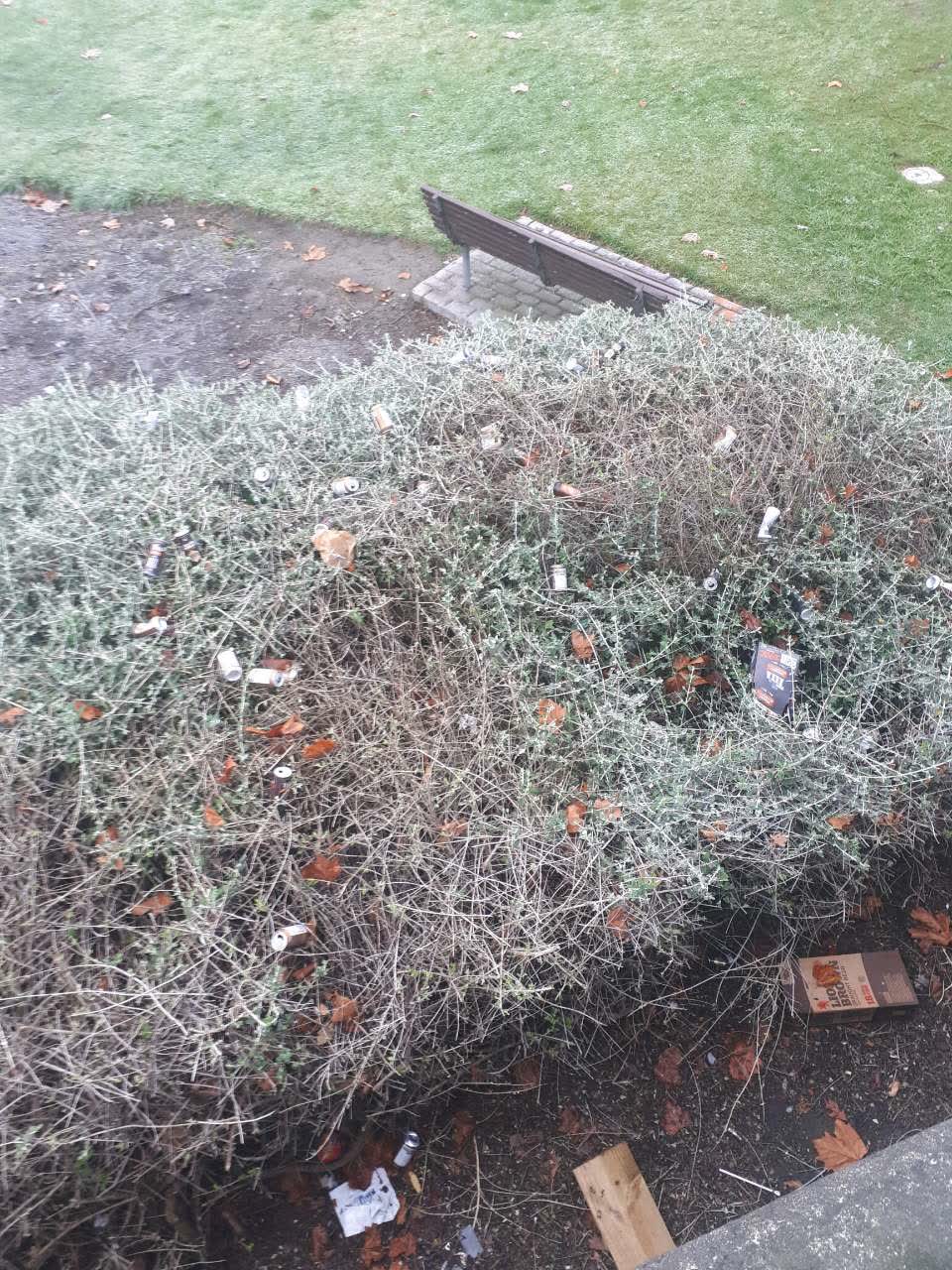 The photograph attached to this rubbish/recycling report