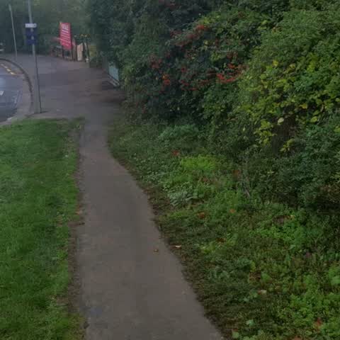 Roading/Streets, a report photo