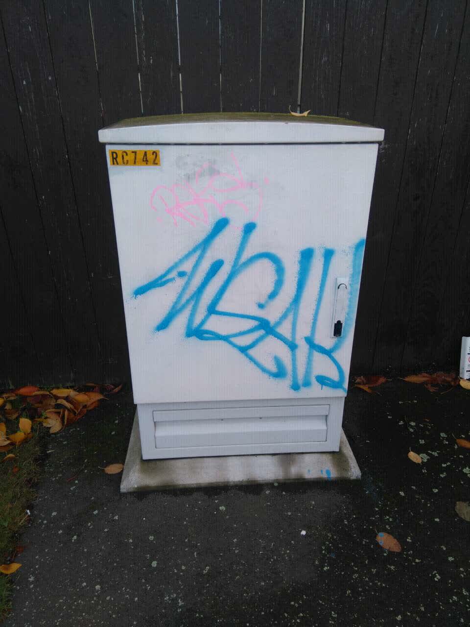 The photograph attached to this graffiti report