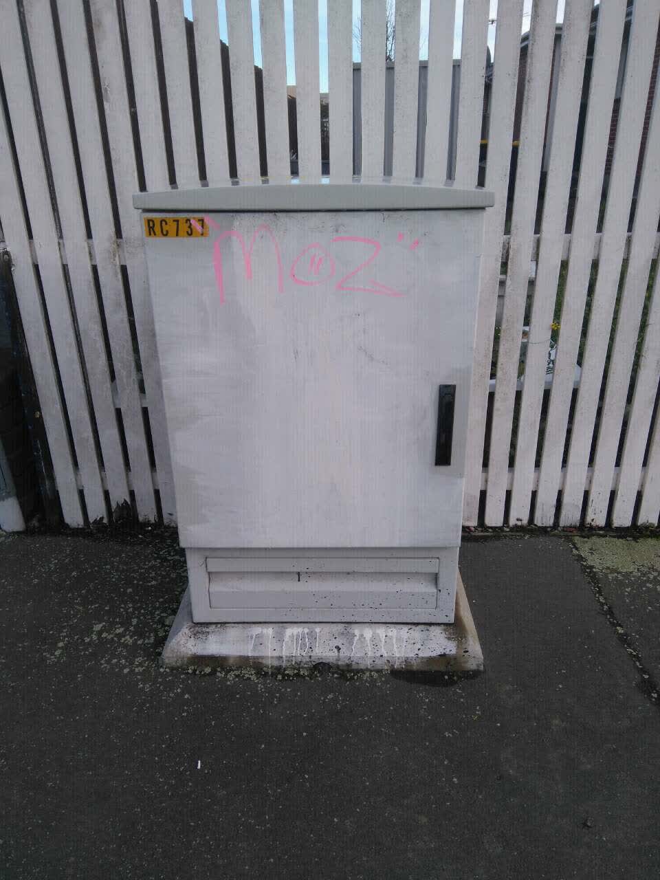 The photograph attached to this graffiti report