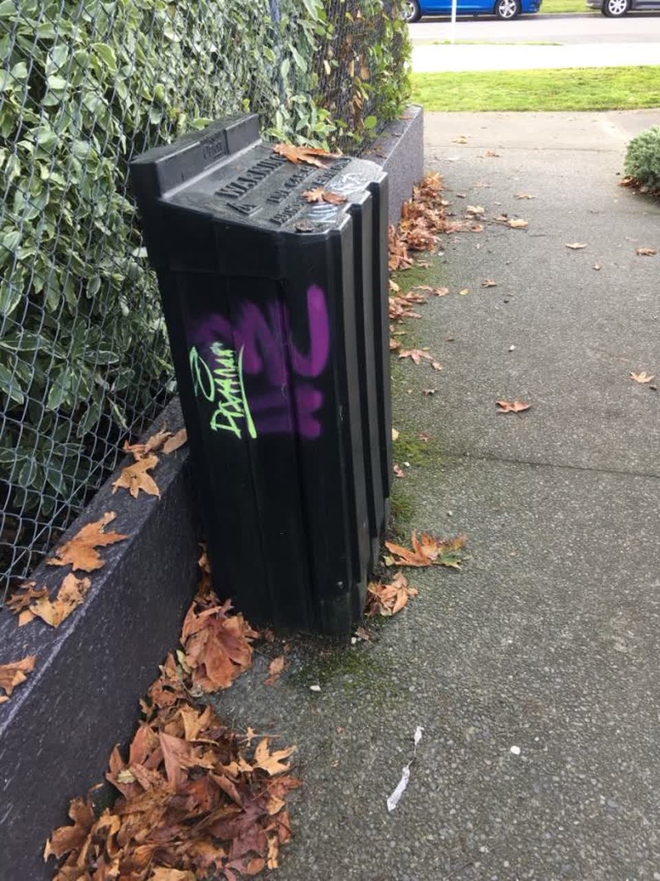 The photograph attached to this graffiti report