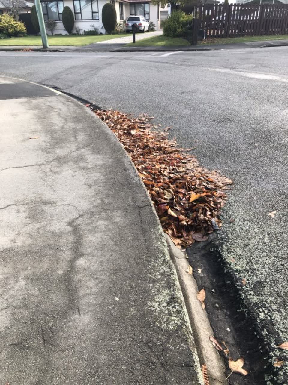 The photograph attached to this roading/streets report
