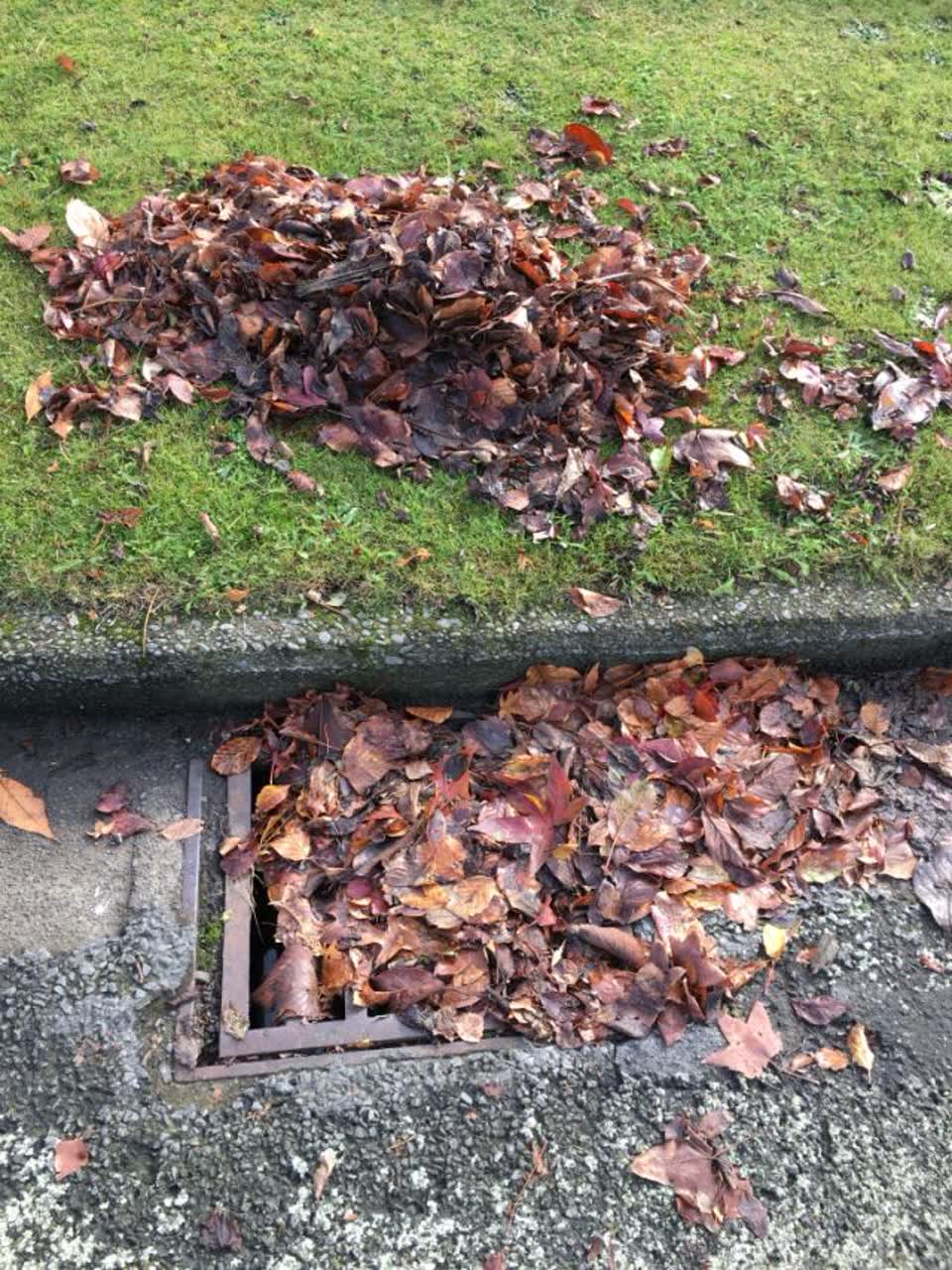 The photograph attached to this wastewater/stormwater report