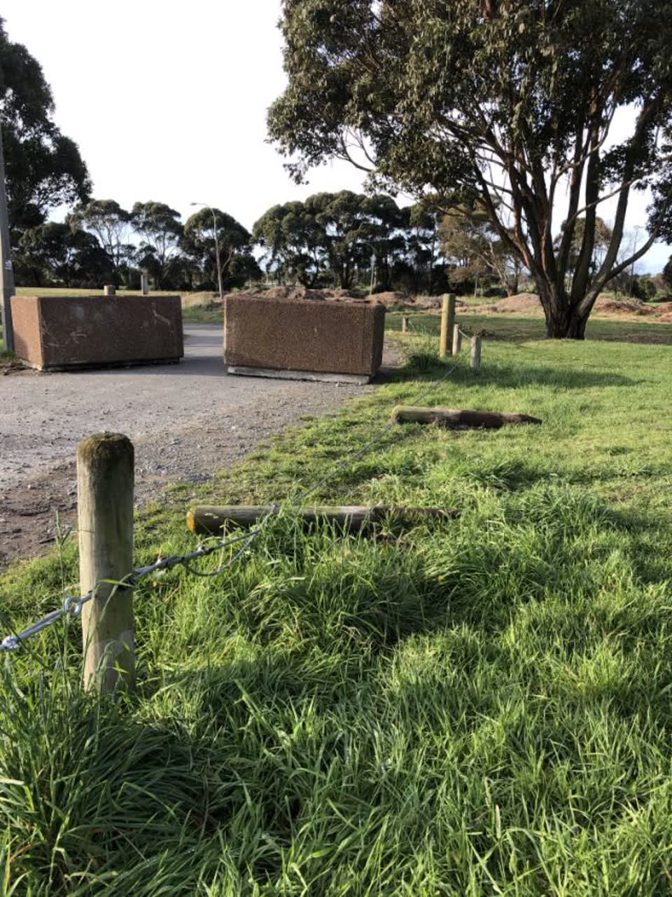 The photograph attached to this parks report