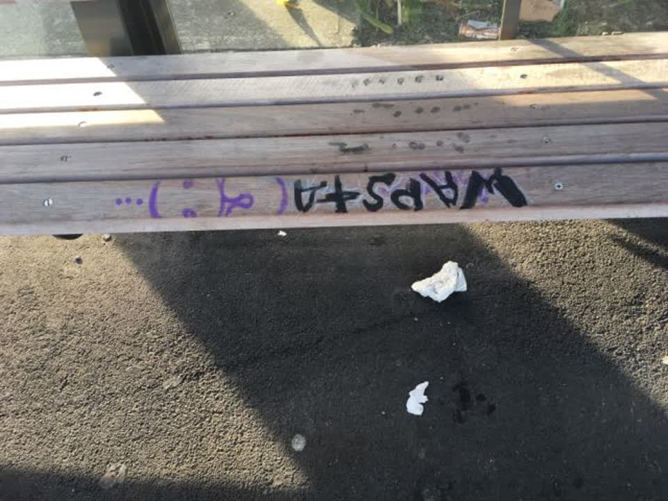 The photograph attached to this graffiti report