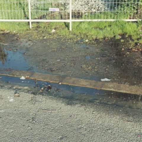 Wastewater/Stormwater, a report photo