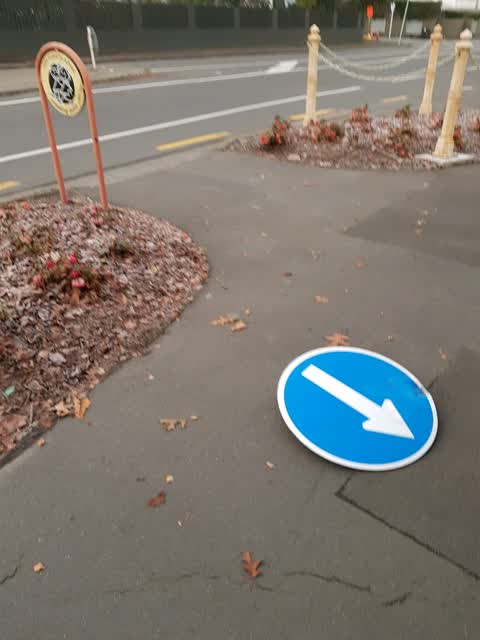 Roading/Streets, a report photo