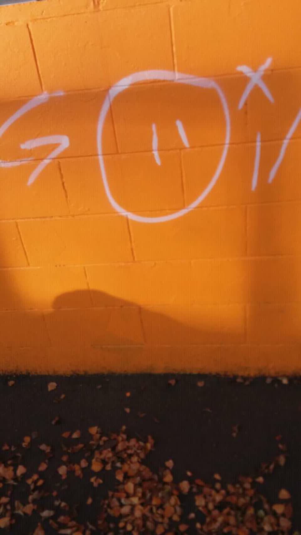 The photograph attached to this graffiti report