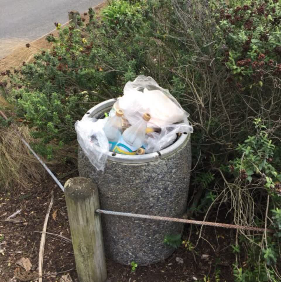 The photograph attached to this parks report