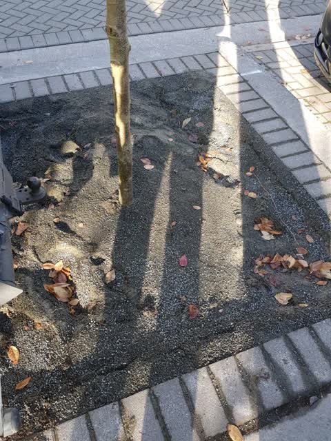 Roading/Streets, a report photo