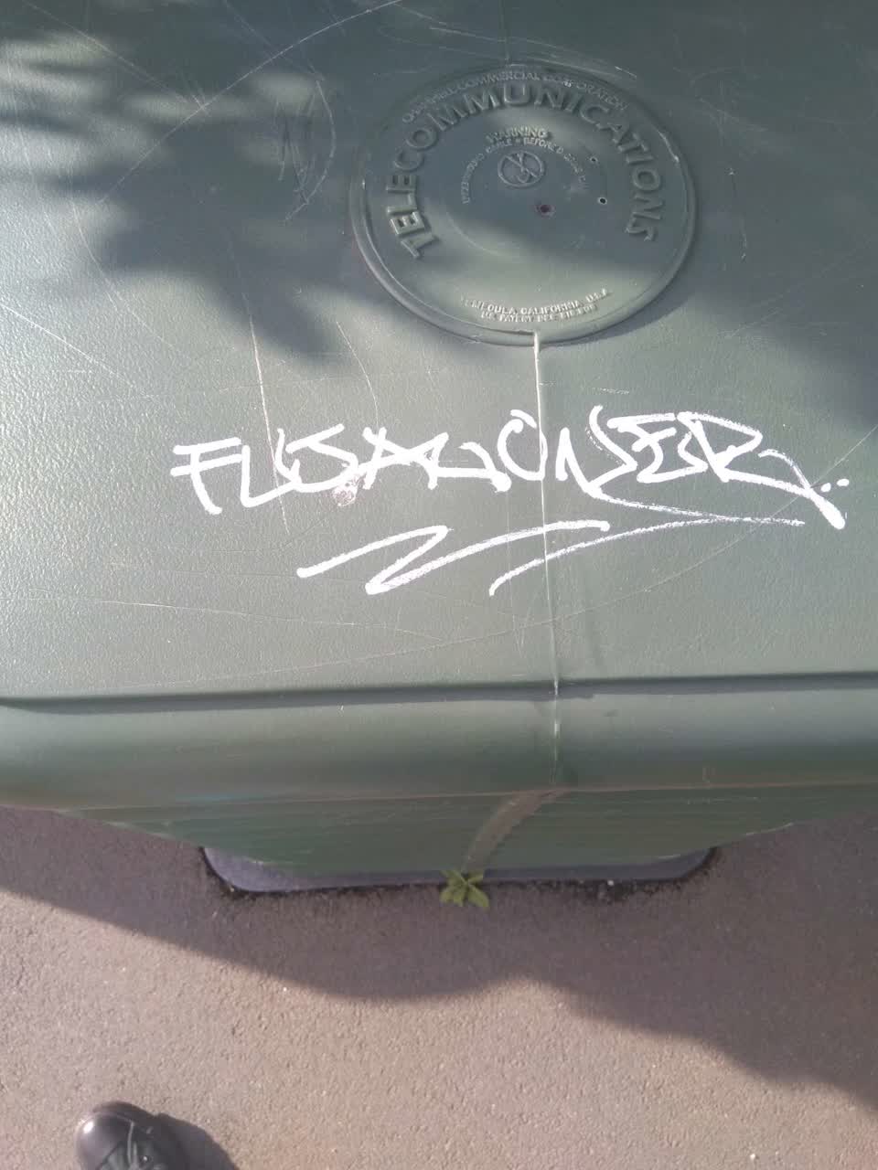 The photograph attached to this graffiti report