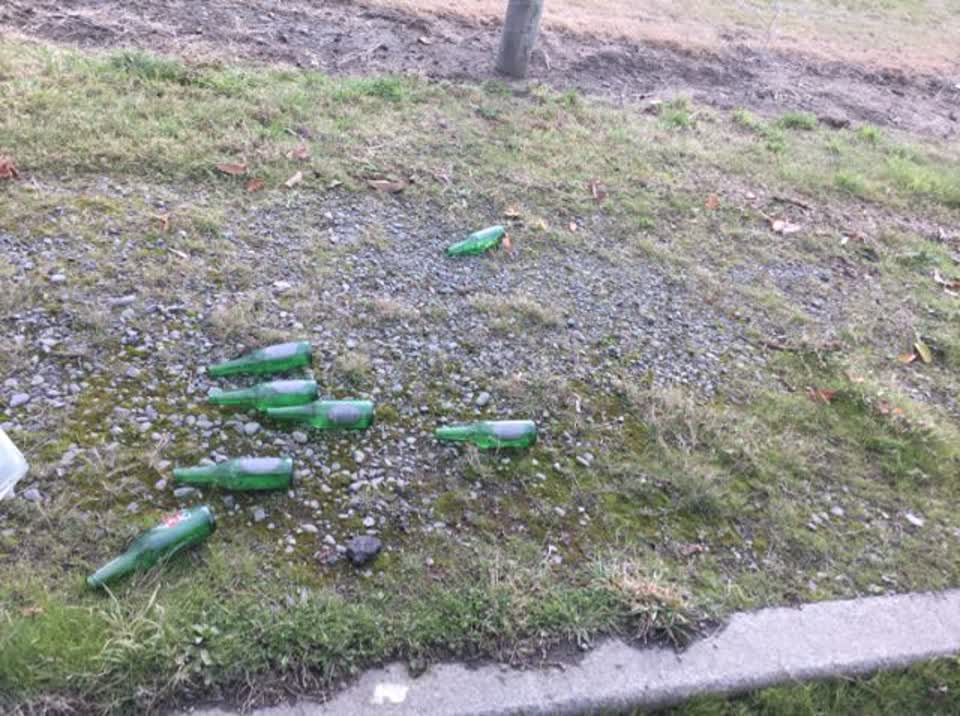 The photograph attached to this rubbish/recycling report