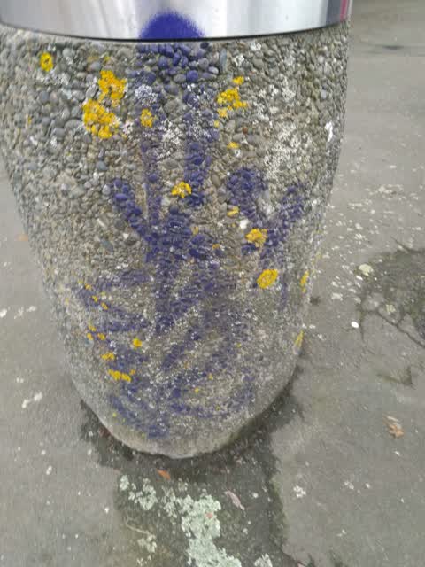 Graffiti, a report photo