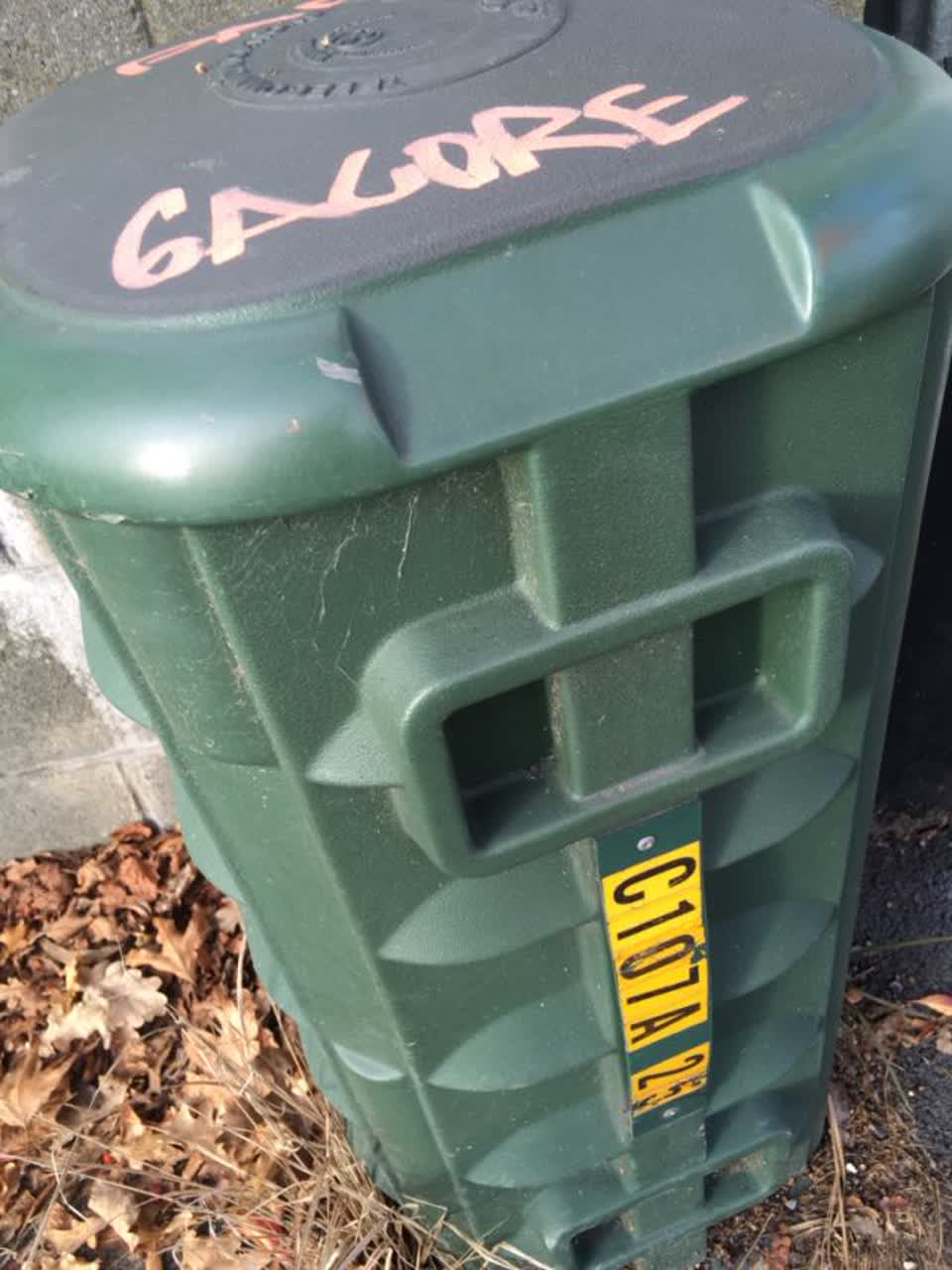 The photograph attached to this graffiti report