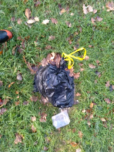Rubbish/Recycling, a report photo
