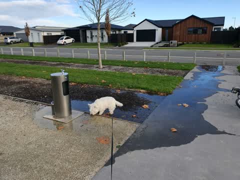 Parks, a report photo