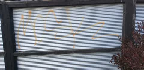 Graffiti, a report photo