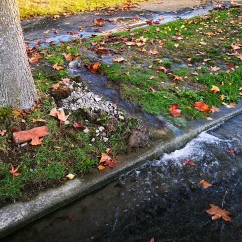 Flooding, a report photo