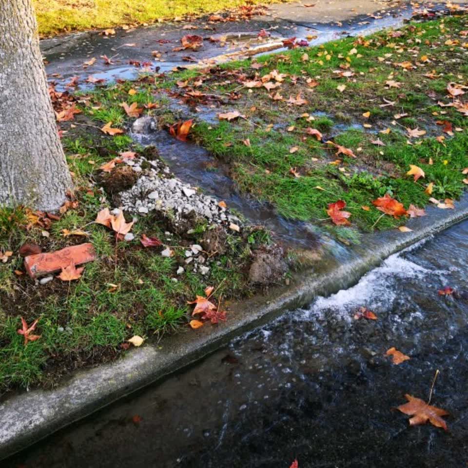 The photograph attached to this flooding report