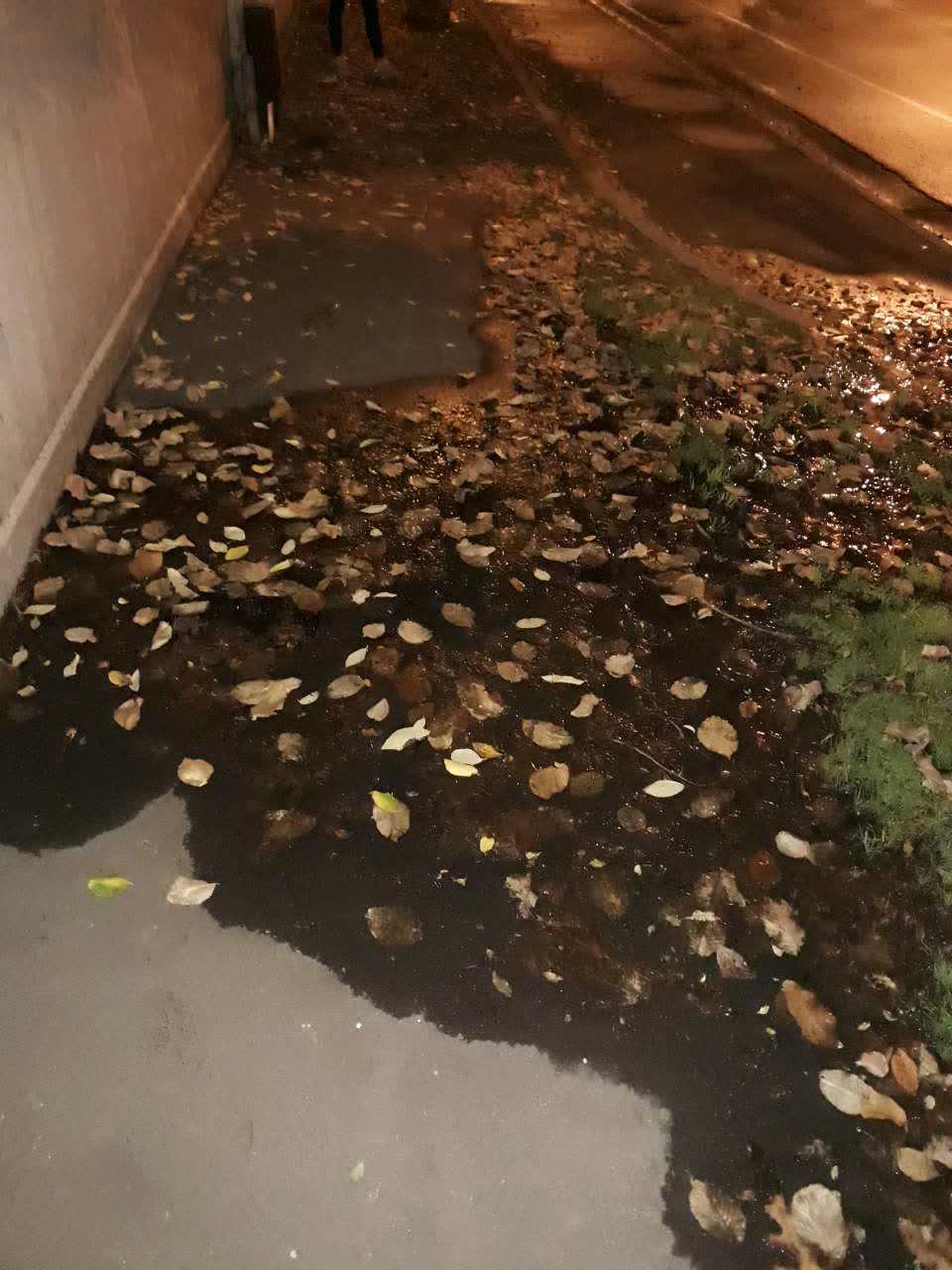 The photograph attached to this water supply report