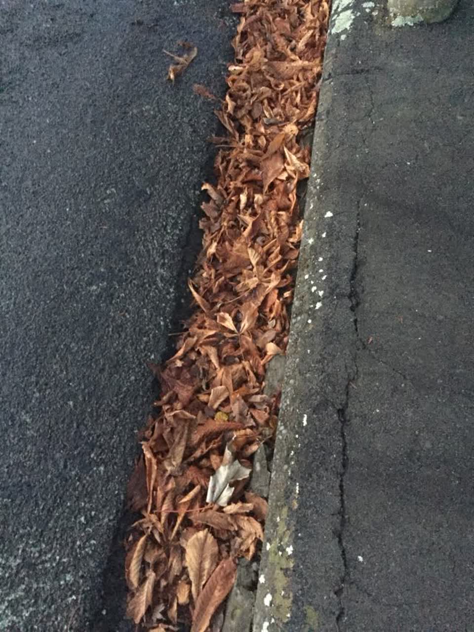 The photograph attached to this flooding report