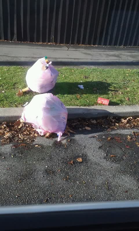 Rubbish/Recycling, a report photo