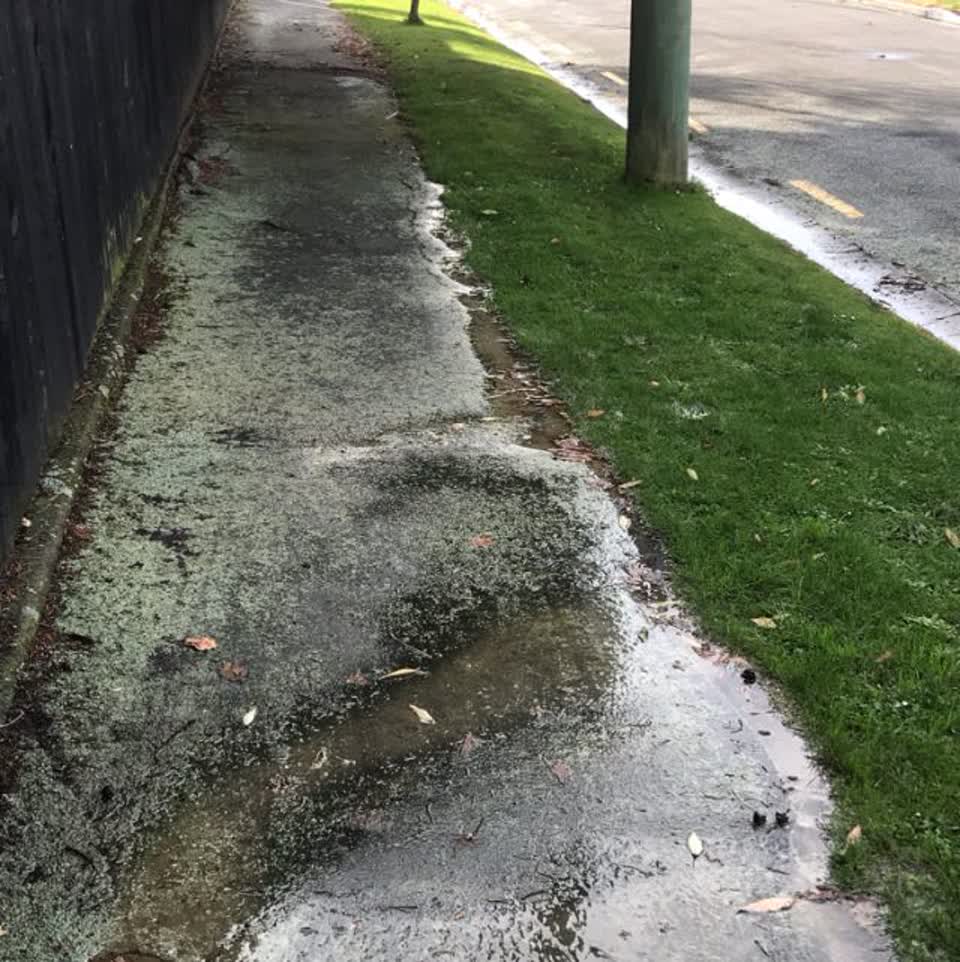 The photograph attached to this wastewater/stormwater report