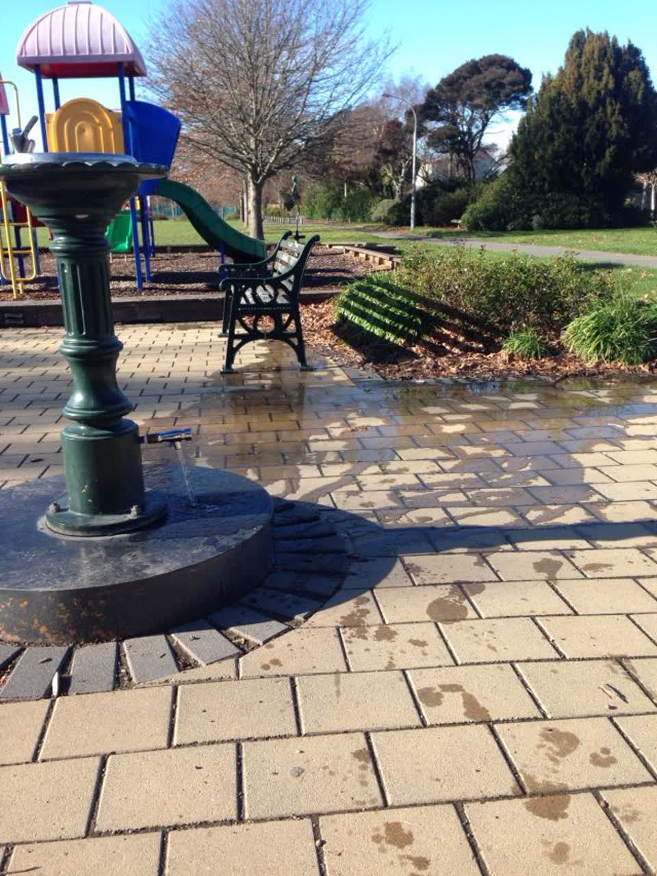 The photograph attached to this parks report
