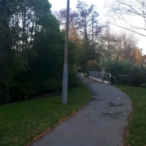 Parks, a report photo