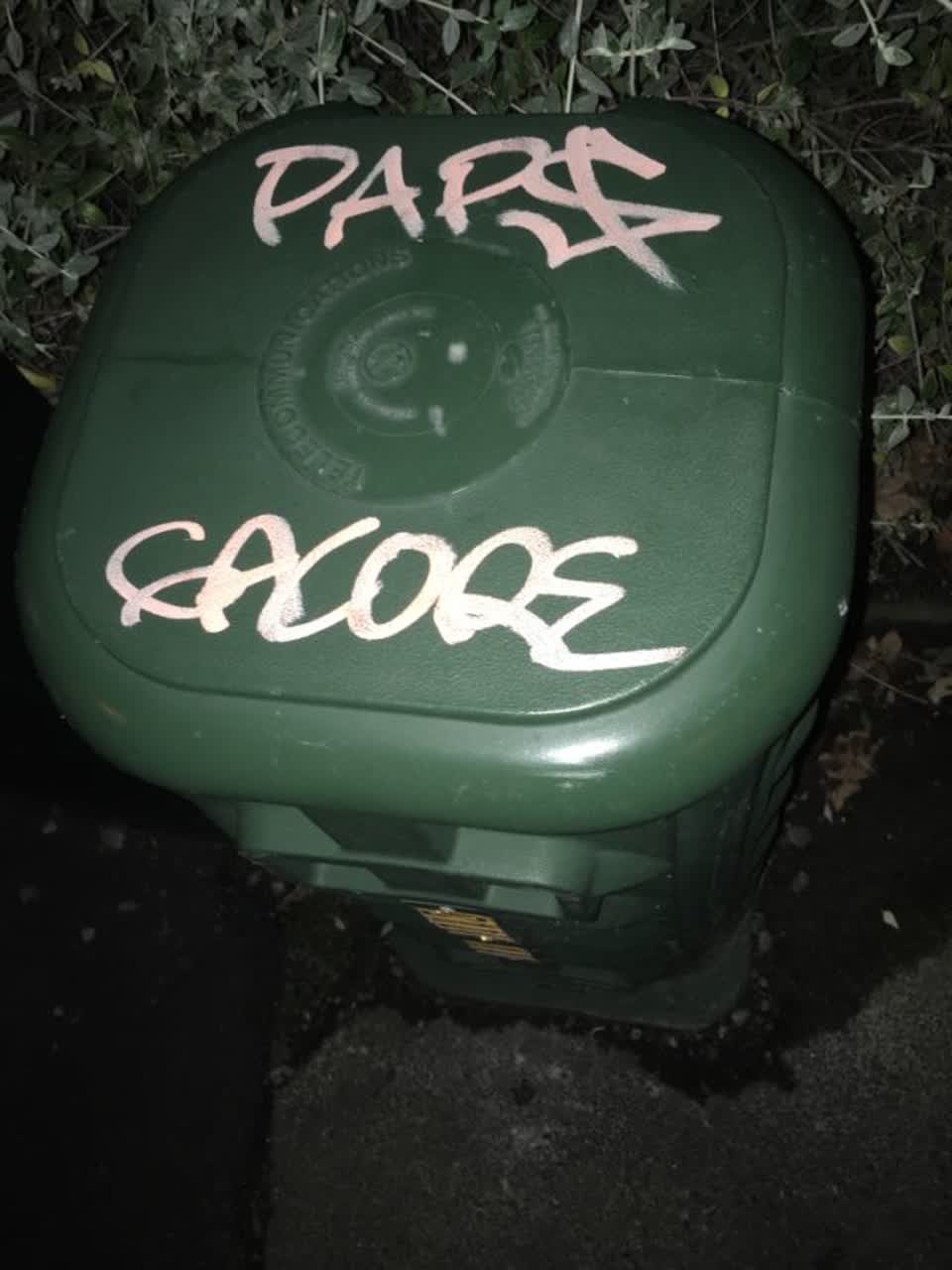 The photograph attached to this graffiti report