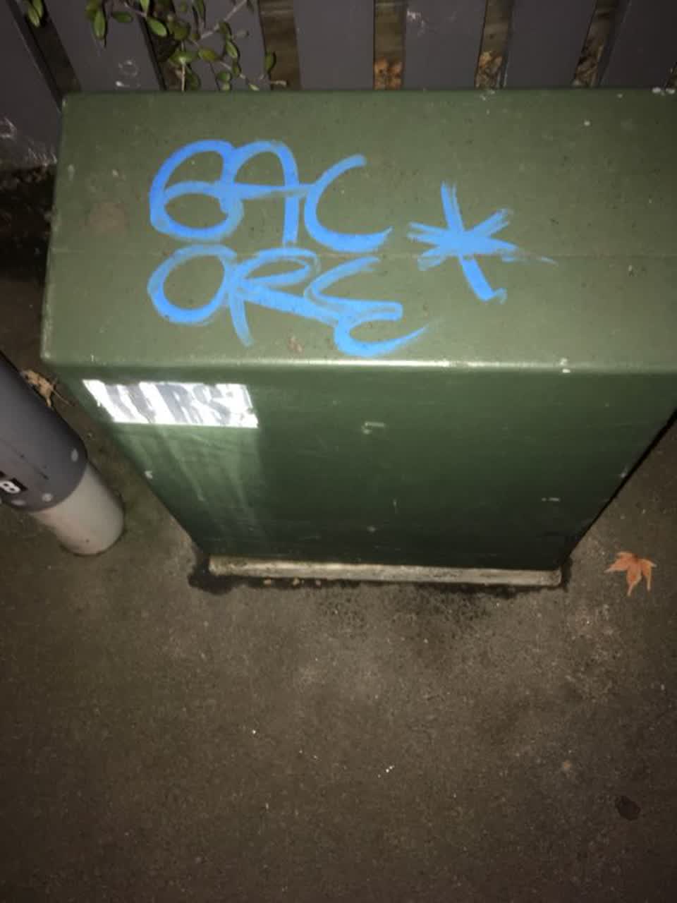 The photograph attached to this graffiti report