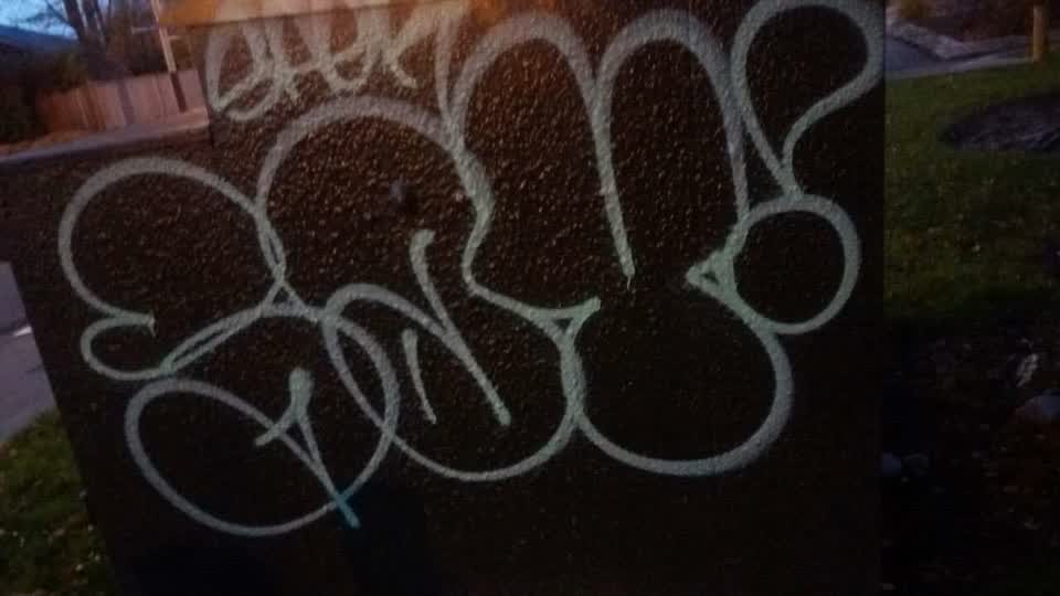 The photograph attached to this graffiti report