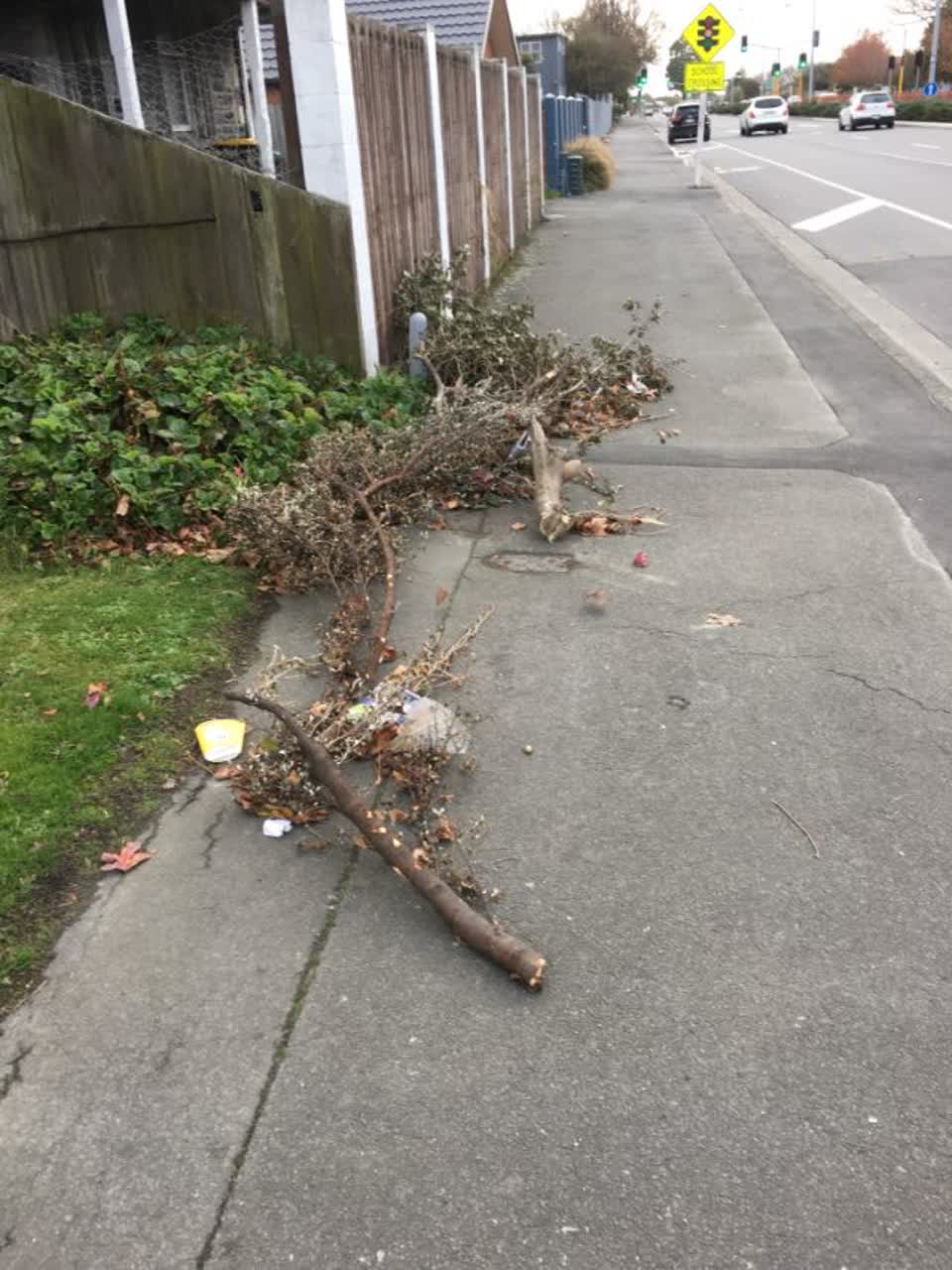 The photograph attached to this rubbish/recycling report