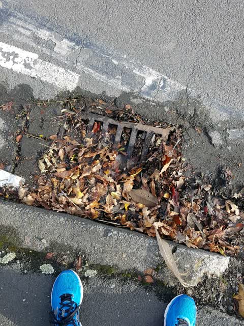 Wastewater/Stormwater, a report photo