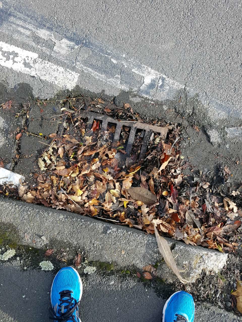 The photograph attached to this wastewater/stormwater report