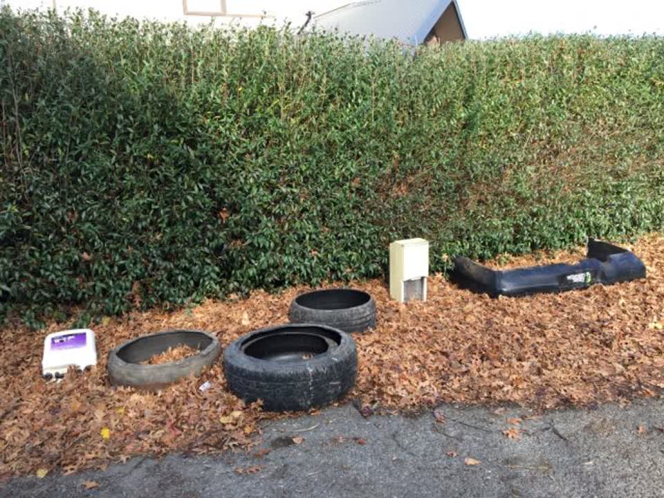 The photograph attached to this rubbish/recycling report