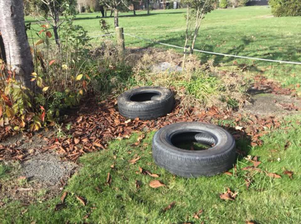 The photograph attached to this rubbish/recycling report