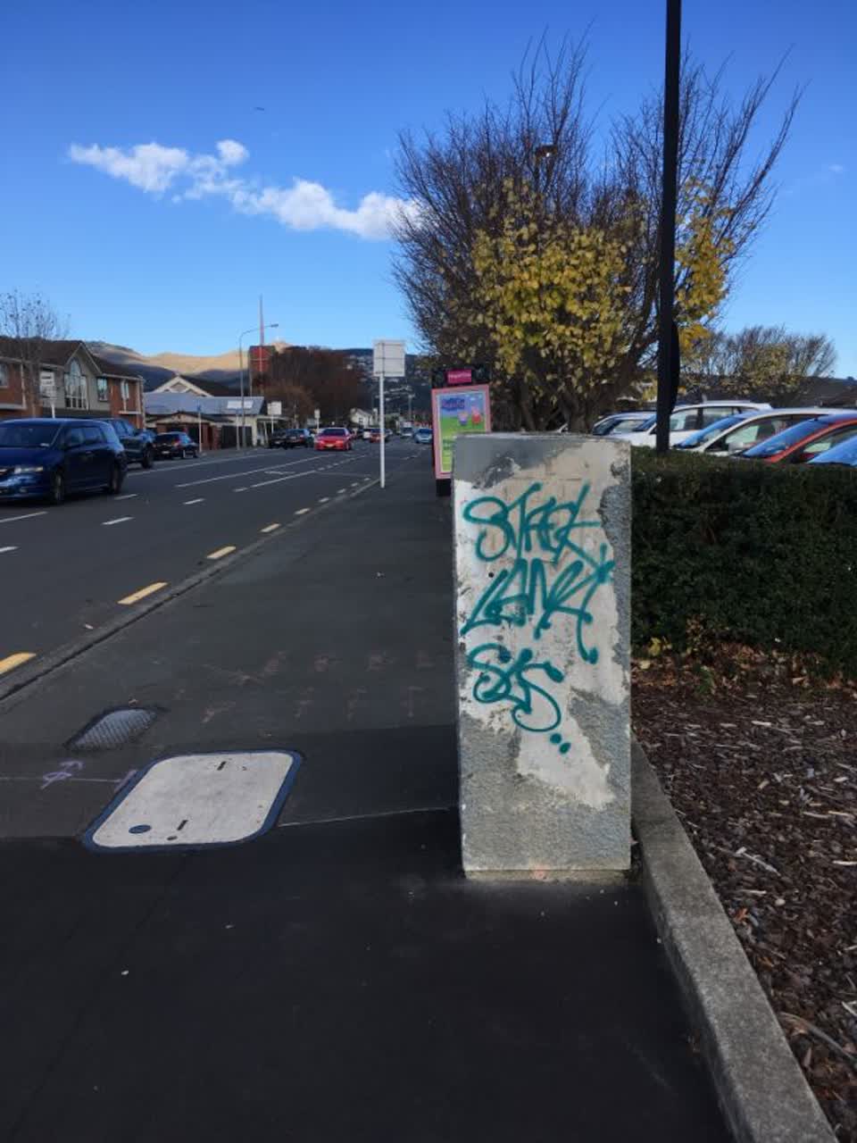 The photograph attached to this graffiti report