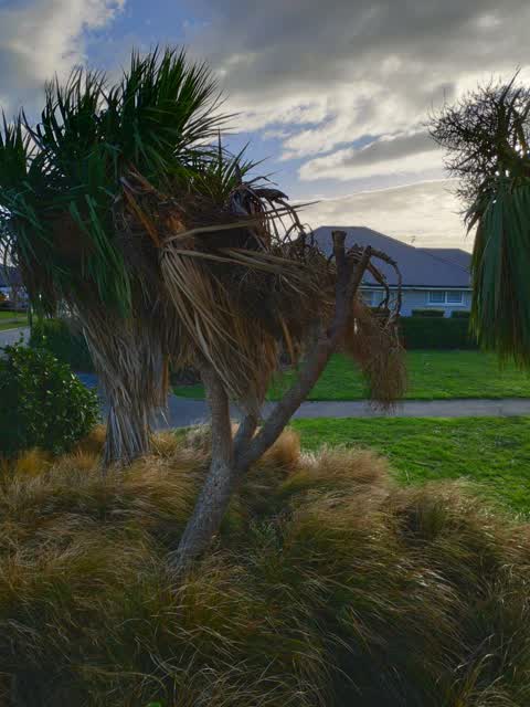 Parks, a report photo