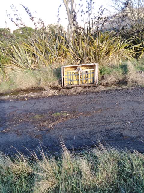 Rubbish/Recycling — a report photo