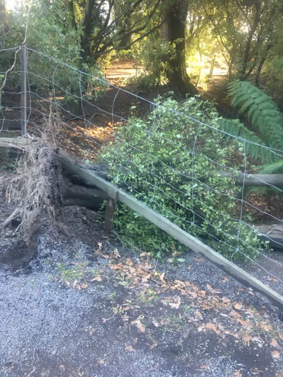 The photograph attached to this parks report