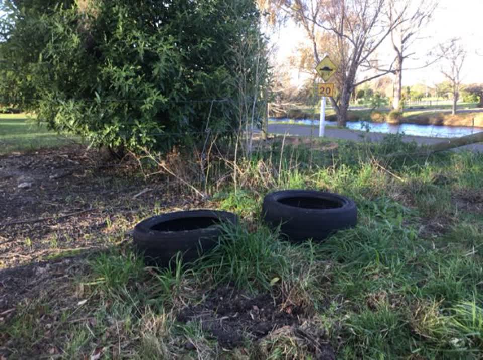 The photograph attached to this rubbish/recycling report