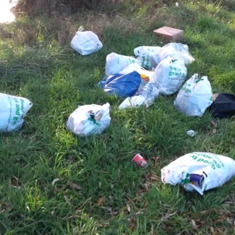 Rubbish/Recycling, a report photo