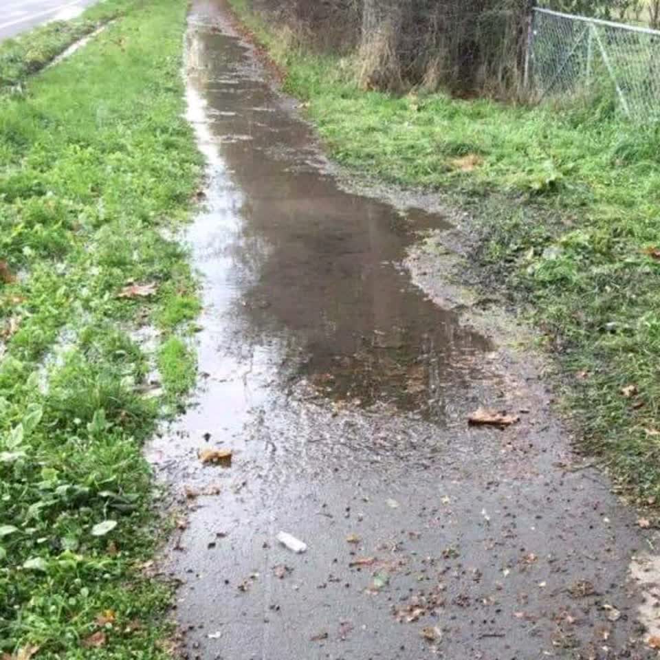 The photograph attached to this roading/streets report