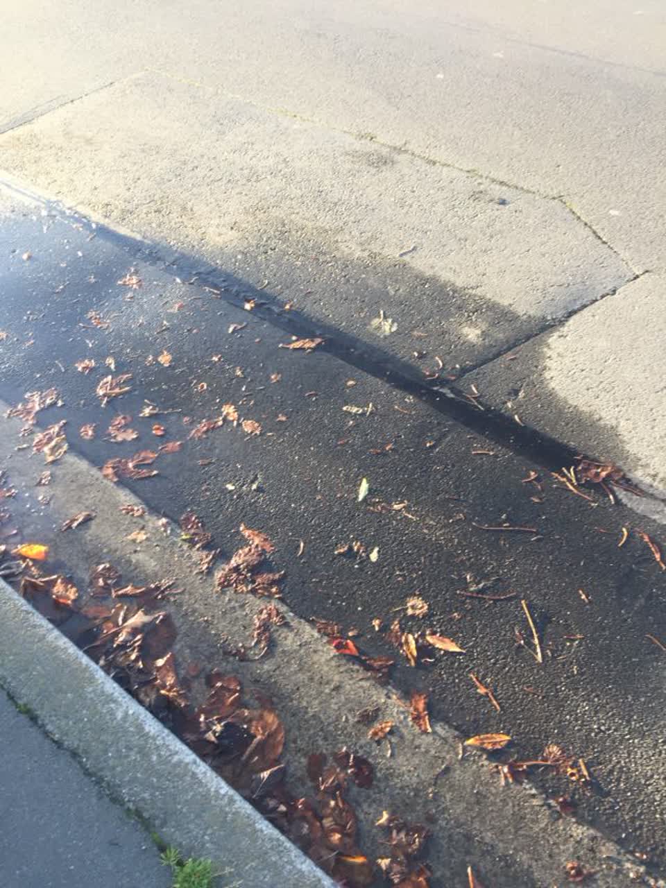 The photograph attached to this water supply report