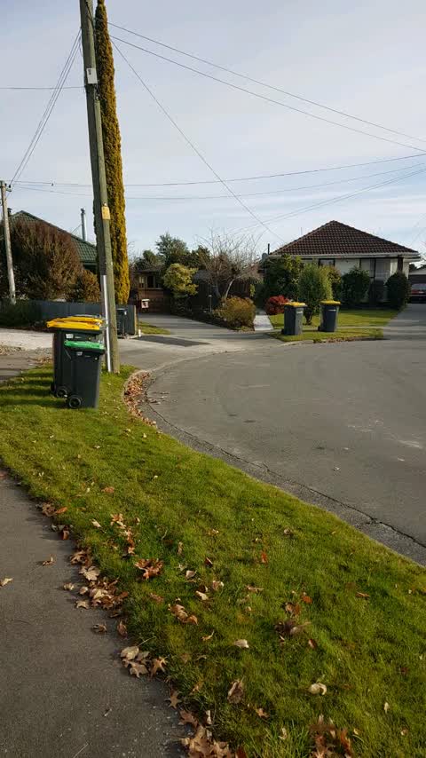 Rubbish/Recycling, a report photo