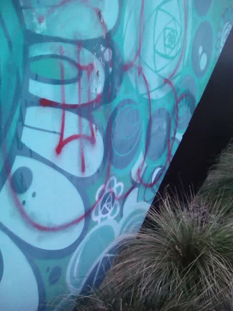 Graffiti, a report photo